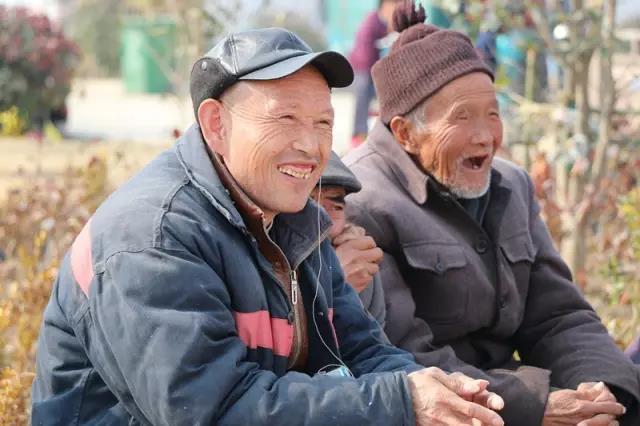 天辰娱乐全站经销商管理平台注册与资质审核入口图片