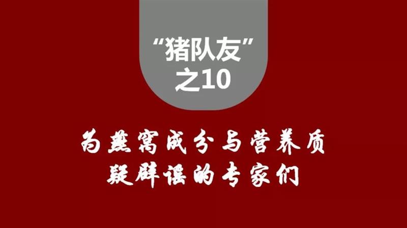 天辰娱乐官方指定会员登录入口与客户服务管理系统