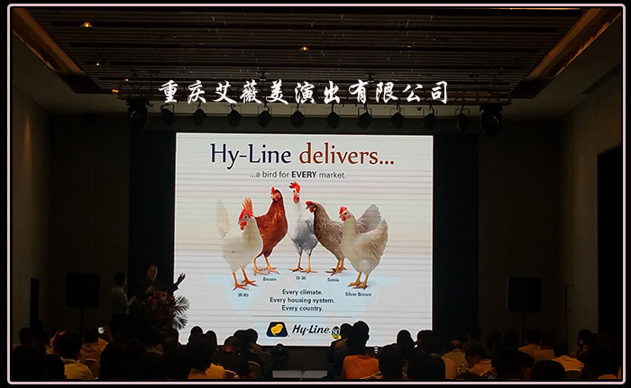 天辰娱乐企业职工文体健康活动中心管理系统图片