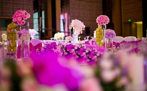 天辰娱乐掌上供应链订货系统官方移动APP绿色下载图片